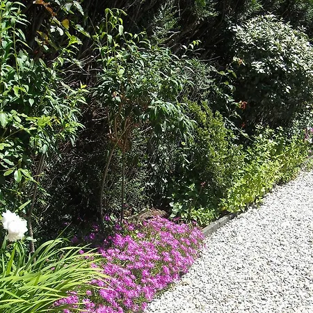 Harmonie Guest house